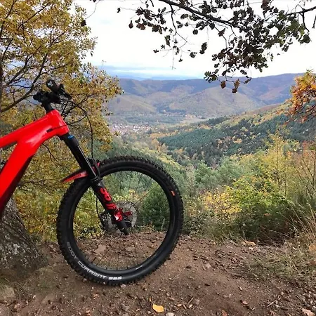 Les Plains Champs Labaroche