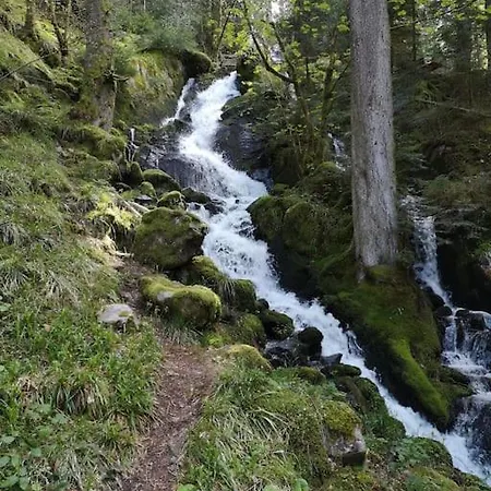 Les Plains Champs Apartment Labaroche