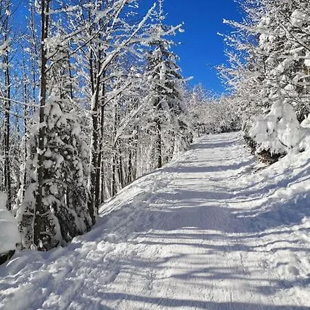 Apartment Les Plains Champs *